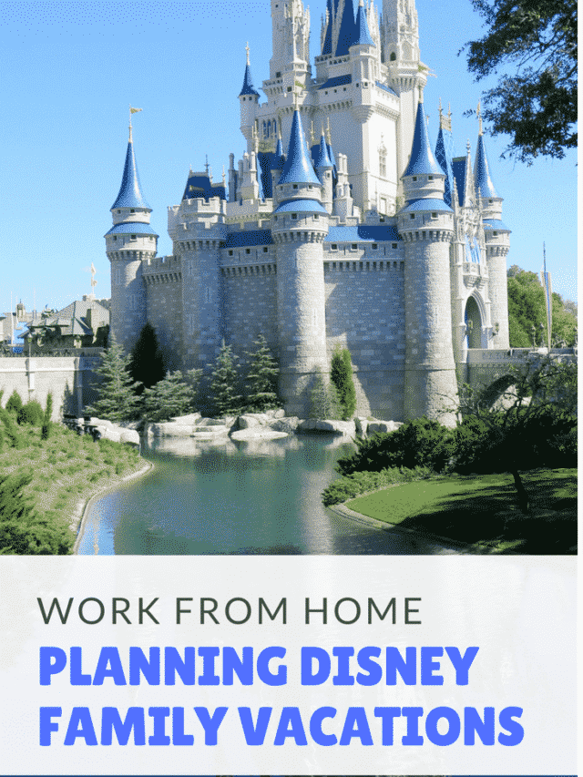 Disney Travel Agent Jobs From Home Story